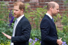 Britain's Prince Harry, Duke of Sussex (L) and Britain's Prince William, Duke of Cambridge attend the unveiling of a statue of their mother, Princess Diana at The Sunken Garden in Kensington Palace, London on July 1, 2021, which would have been her 60th birthday. Princes William and Harry set aside their differences on Thursday to unveil a new statue of their mother, Princess Diana, on what would have been her 60th birthday.