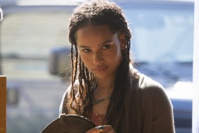 Zoe Kravitz ‘Accidentally Dosed Several People’ With Hallucinogens