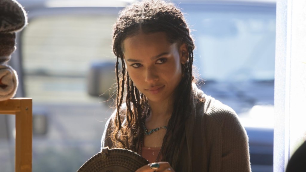 Zoe Kravitz ‘Accidentally Dosed Several People’ With Hallucinogens