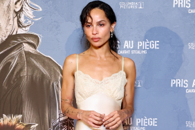 Harry Styles Zoe Kravitz video
