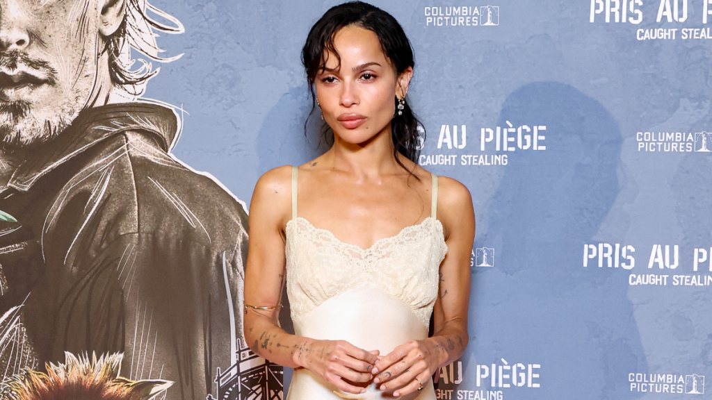 Harry Styles Zoe Kravitz video