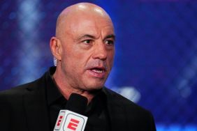Joe Rogan Fans Are Upset With Renee Rap For This Reason
