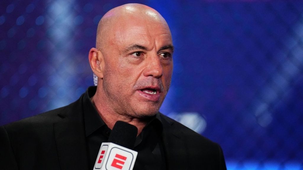 Joe Rogan Fans Are Upset With Renee Rap For This Reason
