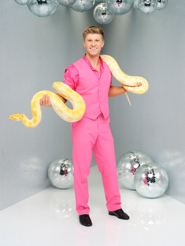 Robert Irwin