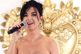 Katy Perry's Jaw Dropping Sheer Corset Dress Has Fans Talking
