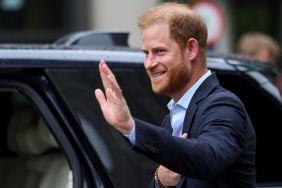 Prince Harry Has Only Good Things To Say About UK Trip Amid King Charles Reunion