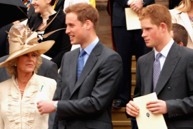 Prince Harry Prince William Queen Camilla