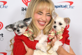 Sabrina Carpenter skirt dog new album Man's Best Friend