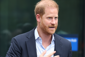 Prince Harry interview
