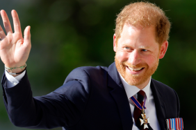 Prince Harry interview King Charles