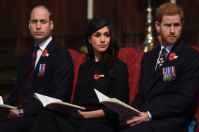 Prince Harry Prince William Meghan Markle