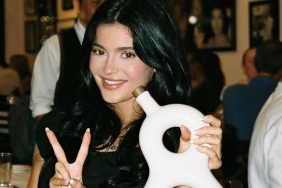 Kylie Jenner birthday photos Timothee Chalamet missing