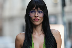 Amelia Gray sheer top photos