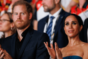 Prince Harry Meghan Markle royal family