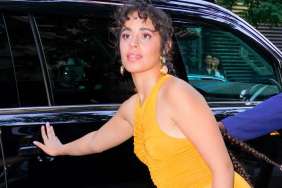 Camila Cabello Gets Playful With T-Shirt in New Mirror Selfie
