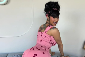 Cardi B poses in pink dress, declines Super Bowl gig