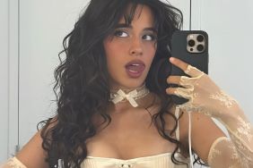 Internet Reacts to Camila Cabello Baring All in Daring Corset & Mini-Skirt