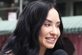 Demi Lovato’s NSFW Photo Pops Up at the Worst Possible Moment