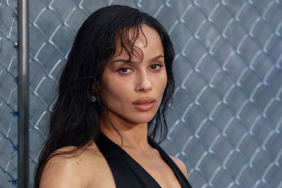 Harry Styles' Inner Circle Worried Zoe Kravitz Could 'Overwhelm' Him, Says Source