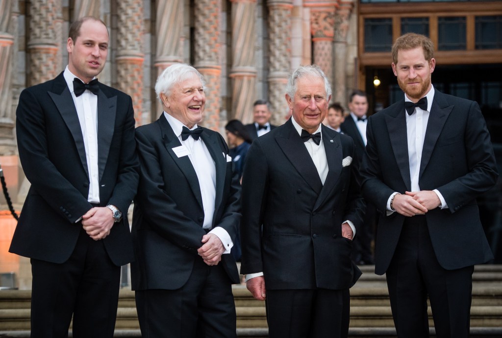 Royal Family 