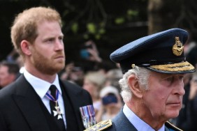 King Charles Harry Meghan