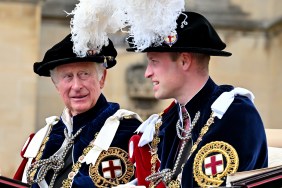 King Charles and Prince William