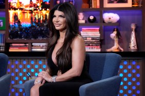 Teresa Giudice on WWHL
