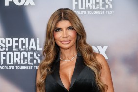 Teresa Giudice RHONJ
