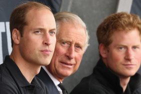 Prince William, Prince Harry, King Charles