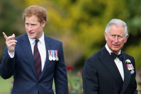 Prince Harry and King Charles