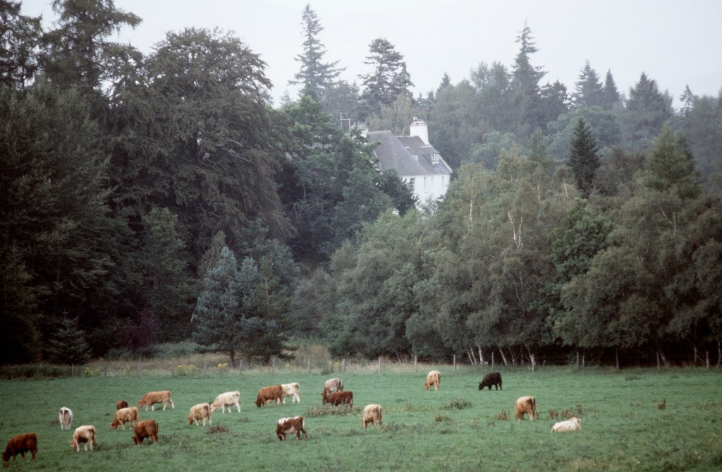 Balmoral 