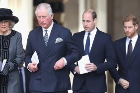 Prince Harry King Charles reunion