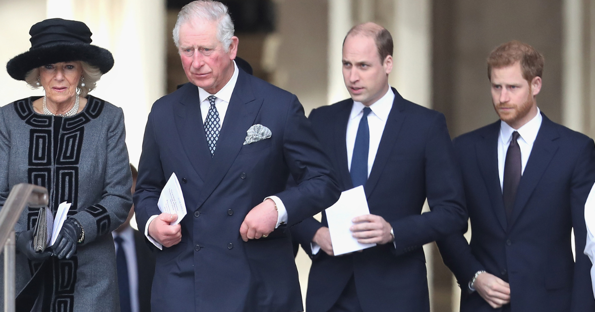 Prince Harry & King Charles' Reunion Could Spark Monarchy War Between Brothers, Hint Sources