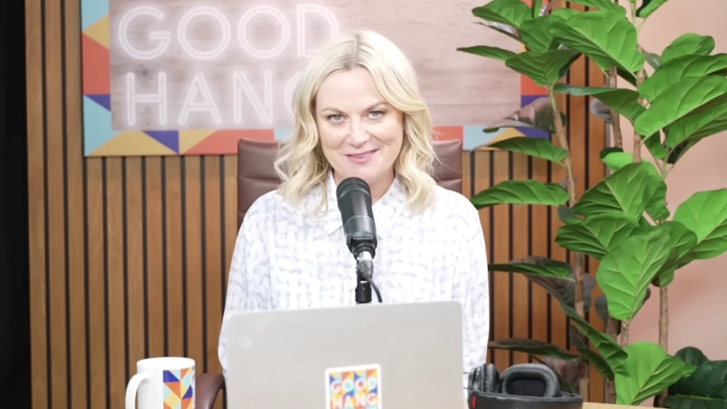 Amy Poehler Calls Out Oscars For Overlooking Comedy: 'That's Some Hot B******t'