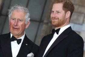Prince Harry and King Charles