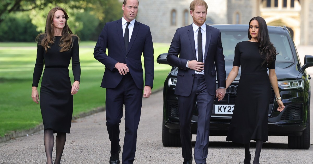 Prince William and Prince Harry's Supposed 'Plans for Rival TV Tributes' to Princess Diana Revealed