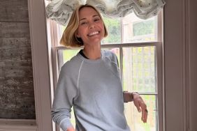 Leslie Bibb's Sheer Glamorous Dress Has Fans Talking