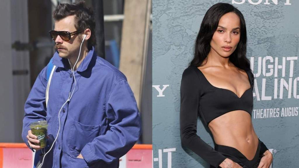 Harry Styles & Zoe Kravitz's Romance Turning Into 'Something Special,' Source Claims