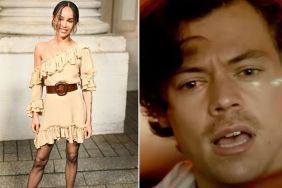 Harry Styles Could Get Heartbroken in Zoe Kravitz Romance if ‘Too Attached,’ Source Claims