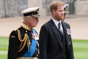 Prince Harry & King Charles' Reconciliation Faces 'Sabotage' From Courtiers, Says Source