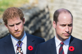Prince William, Duke of Cambridge and Prince Harry walk through a trench during the commemorations for the 100th anniversary of the battle of Vimy Ridge on April 9, 2017 in Lille, France.