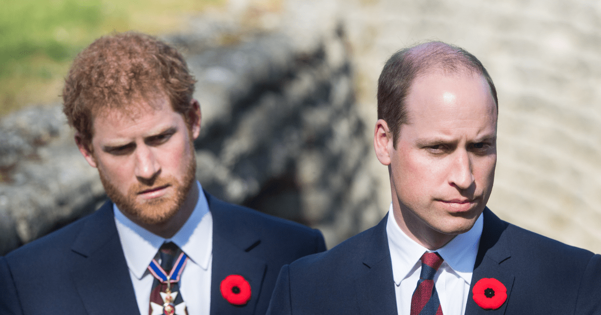 Prince William 'Outraged' Over Prince Harry's Career Move Involving Princess Diana, Says Source