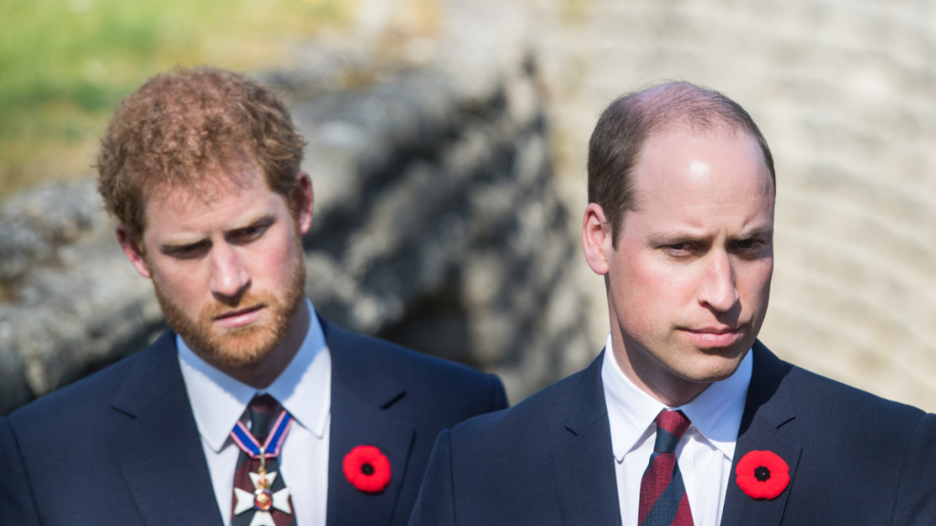 Prince William, Duke of Cambridge and Prince Harry walk through a trench during the commemorations for the 100th anniversary of the battle of Vimy Ridge on April 9, 2017 in Lille, France.