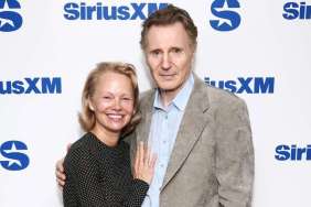 Pamela Anderson Liam Neeson relationship