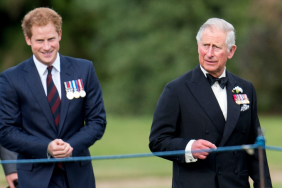 Prince Harry & King Charles Post-Reunion Future 'To Be Handled With Care,' Expert Claims