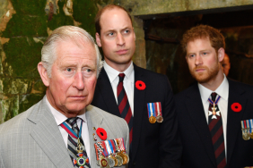 Prince Harry Leveraging ‘Vulnerable’ King Charles To Edge Out Prince William, Source Claims