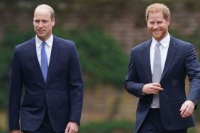 Prince Harry’s Memoir Remarks Only Added Another Betrayal for Prince William, Source Claims