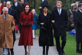 Prince Harry ryal family King Charles reunion