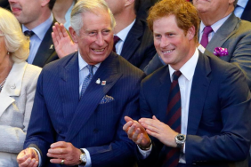 Prince Harry King Charles reconciliation royal family