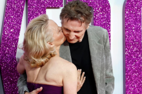 Pamela Anderson Liam Neeson relationship status